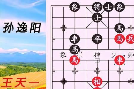 象棋象甲是什么意思