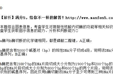 生物中200bp是什么意思