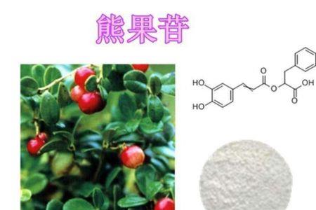 熊甘果和熊果苷一样吗