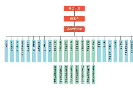 云南农信组织架构