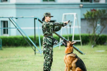 神犬奇兵中巴伊是第几集死的