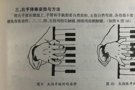 学手风琴有什么出路