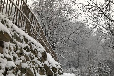 松前落雪结局