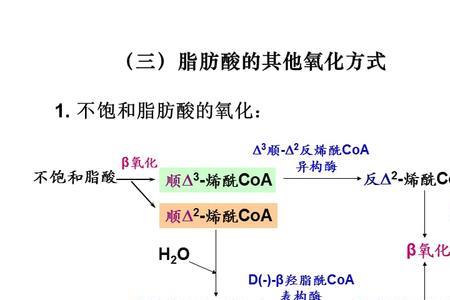 脂肪酸和脂酸的区别