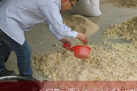 豆腐渣需要发酵多少天