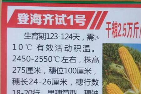 登海排名第一的玉米品种