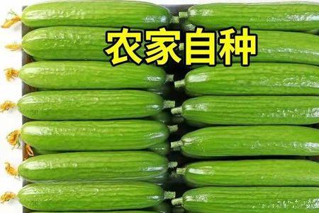 为什么黄瓜会有甜味