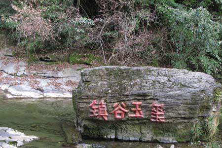 狐狸和野人谷哪个好