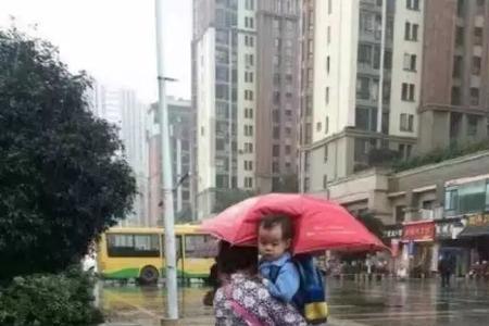 下雨知道往家跑就行什么梗