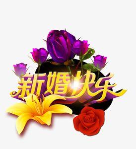 新婚愉快什么意思