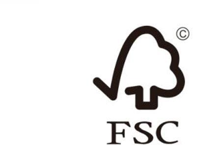 fsc集装箱是哪个公司