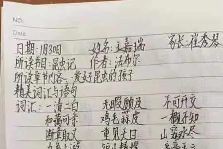 读书笔记怎么写中字格