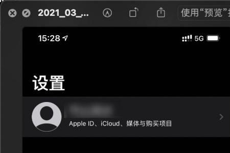 iphone12蜂窝数据1x怎么回事