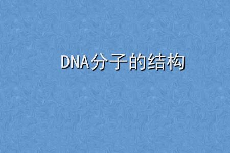 DNA化学本质是