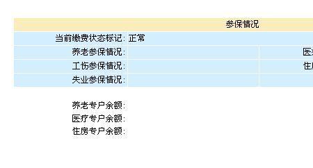 深圳医保怎么查询消费地方