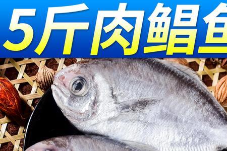 平鱼是深海鱼还是淡水鱼