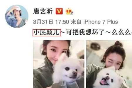 唐艺的师傅是谁