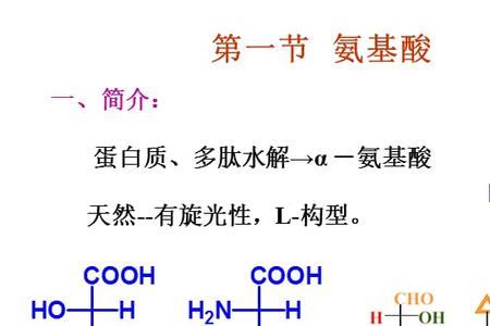 氨基酸方程