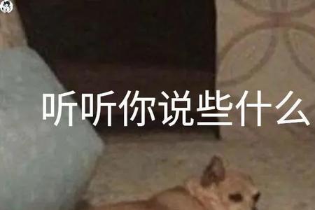 笑死个人什么梗