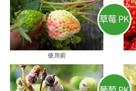 哈茨木霉菌的扩培方法