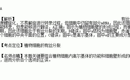 高尔基体与细胞壁的形成有关