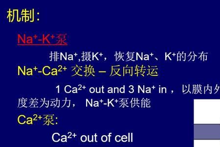 4相自动去极化原理