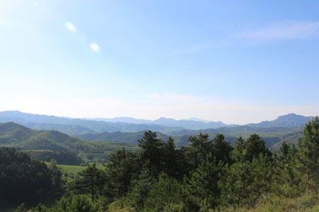 走进大山沟原唱完整版