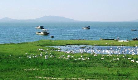 安徽的淡水湖是什么湖