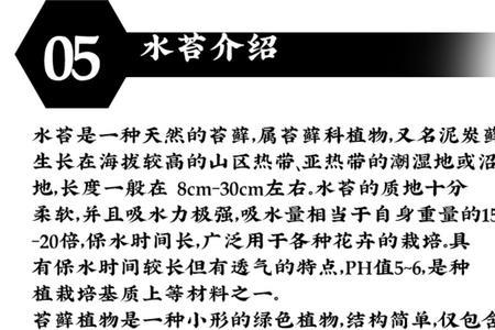 智利水苔和国产水苔的区别