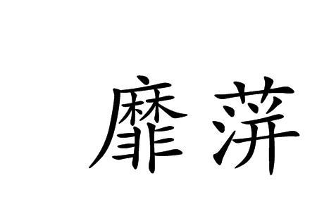 靡芜读音