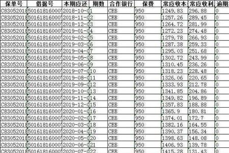 在阳光普惠贷了30万无力偿还了