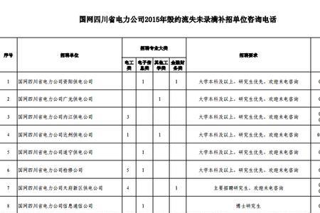 国网四川电力网上缴费多久能到