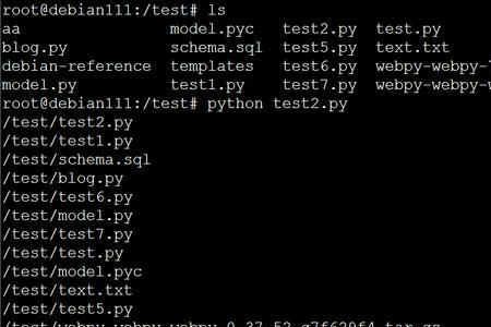 python中dir_list表示什么