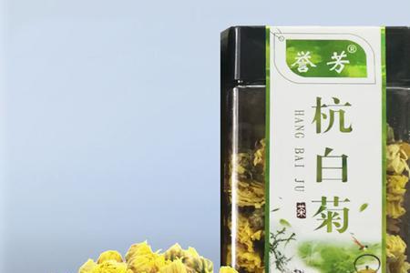 小叶菊花泡茶好喝吗