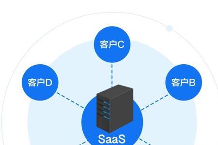 选择依据是什么意思