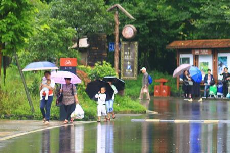 雨雾迷什么成语