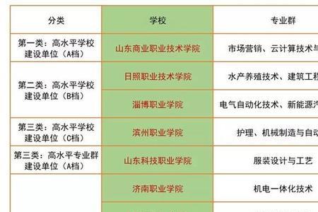 济南职业学院单招考什么