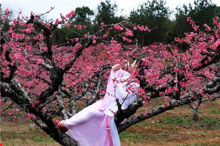 至此桃花谢了是什么意思