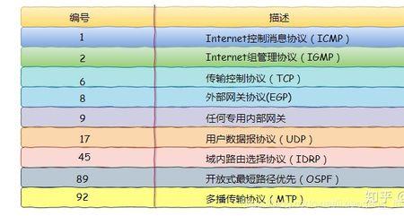 ip领域是什么意思