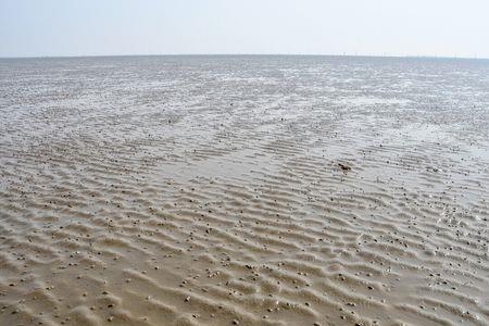 大海退潮死讯是什么意思