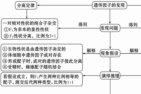 五大定律是哪五种