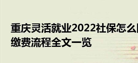 江西2022灵活就业可以推迟交吗