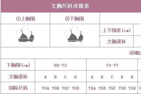 75胸围等于多少厘米