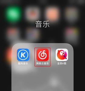 ipad网易云没有鲸云音效吗