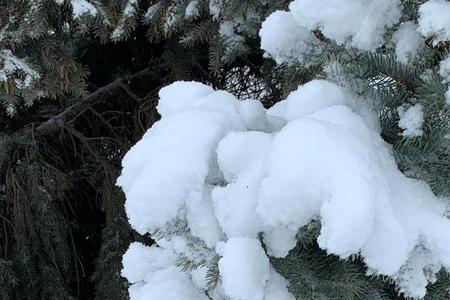 雪花已铺满了地什么意思