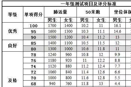 蹲踞式跳远跳多远及格