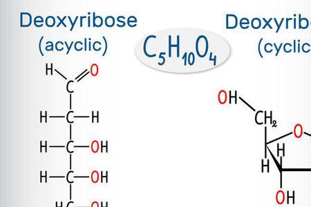 二氧核糖是什么
