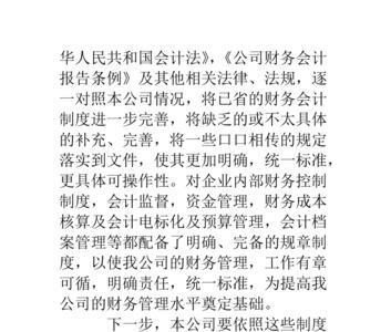 财务审核把关不严整改措施