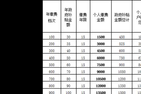 农村社保一年交300元40年后领多少