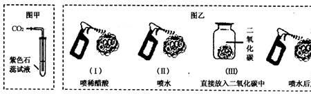 二氧化碳的还原暗反应